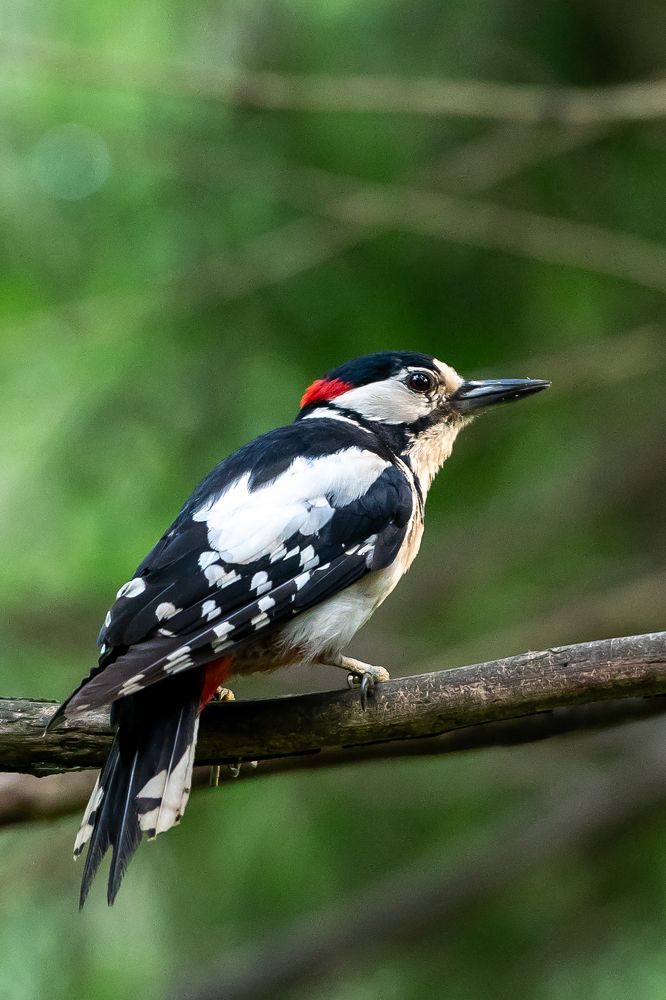 Фотография автора Клейменов Алексей