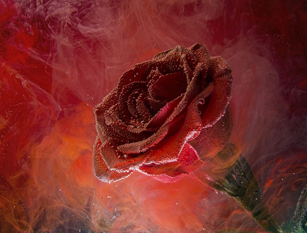 Photograph by Игорь Смирнов