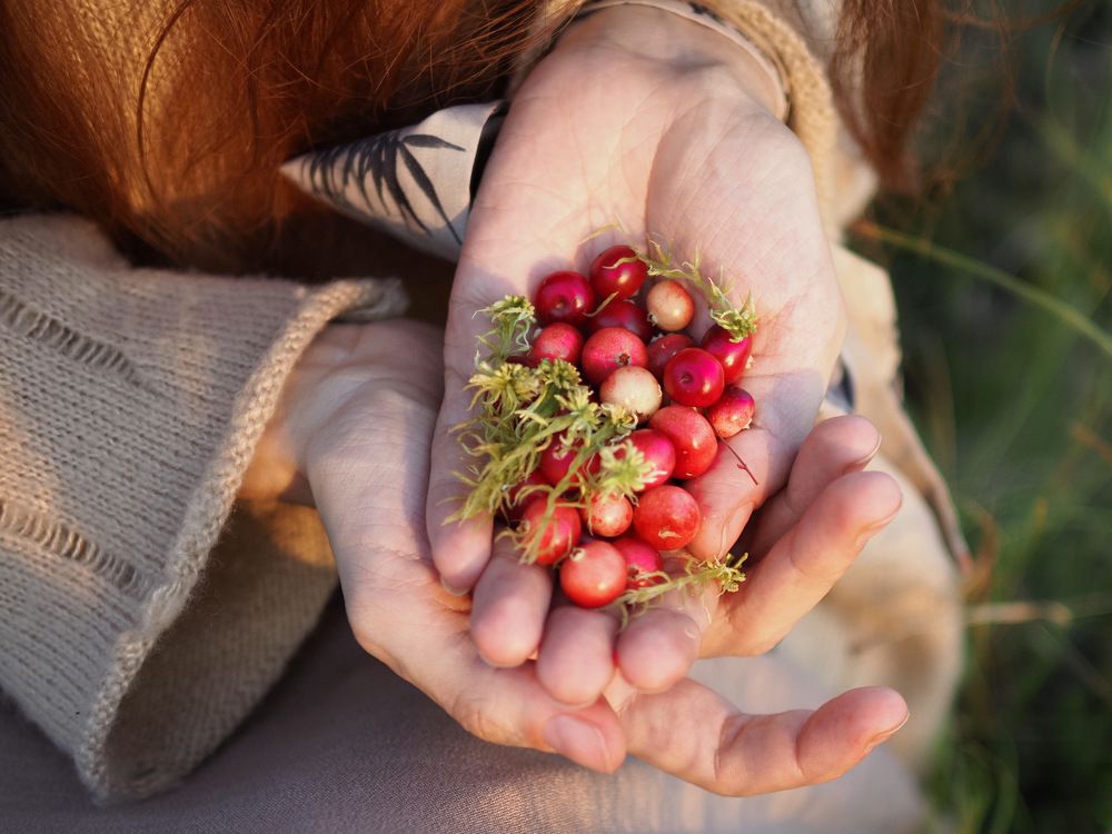 Photograph by Алексей Поляков