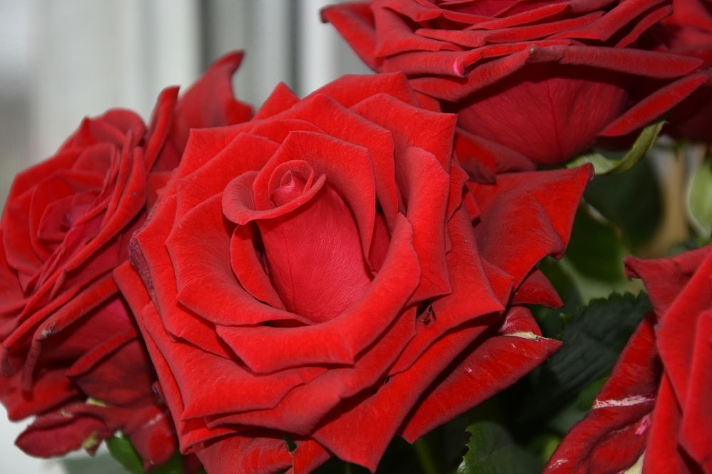 Photograph by Юлия Ю.