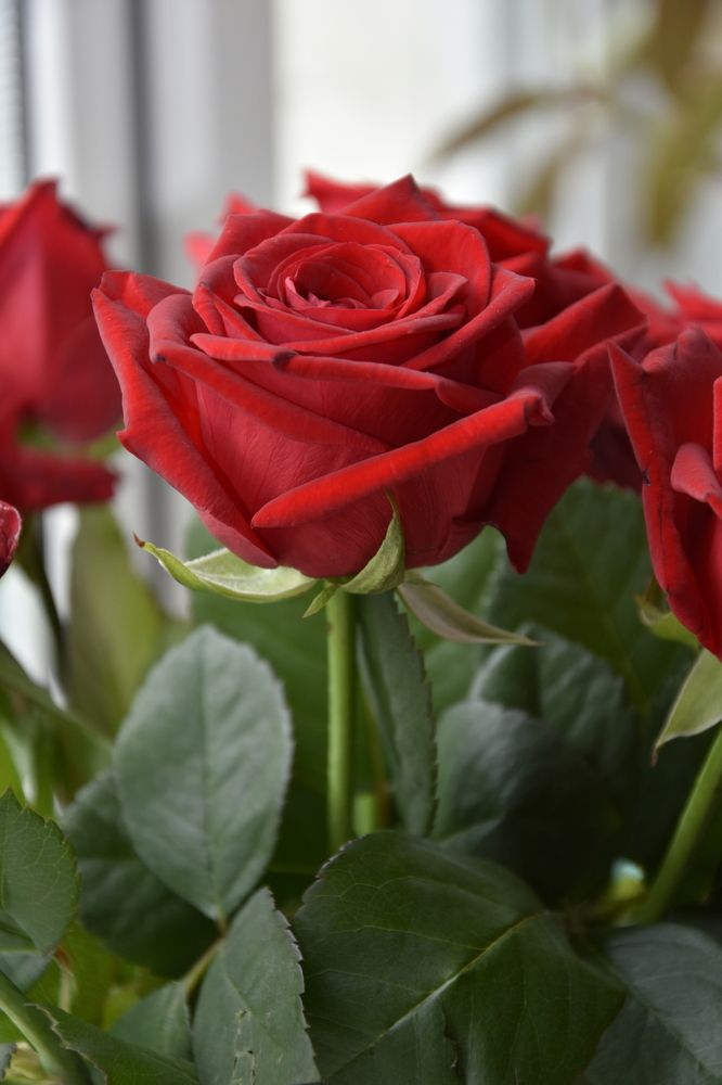 Photograph by Юлия Ю.