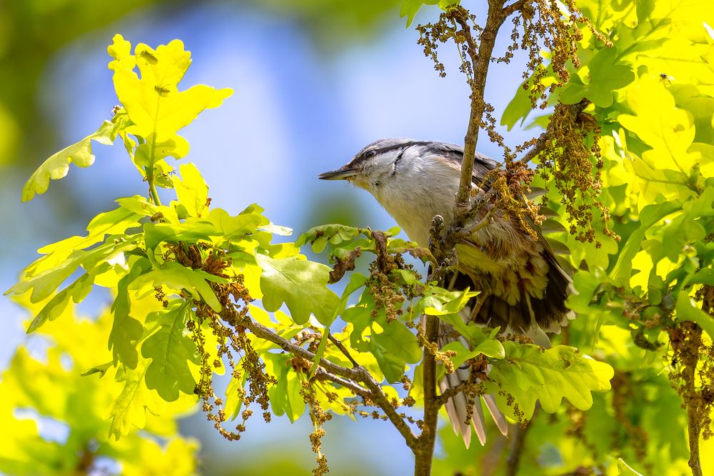 Photograph by Кормашова Татьяна