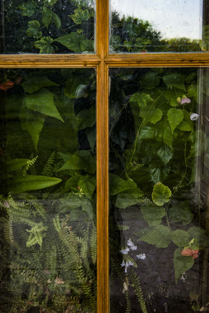 Photograph by Boytcova Anna