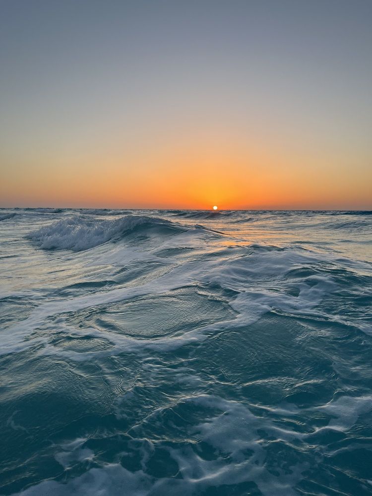 Photograph by Yusuf Yamen