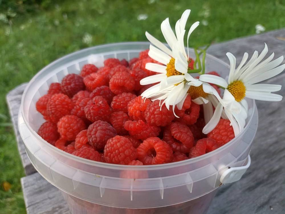 Photograph by Владимир Перминов