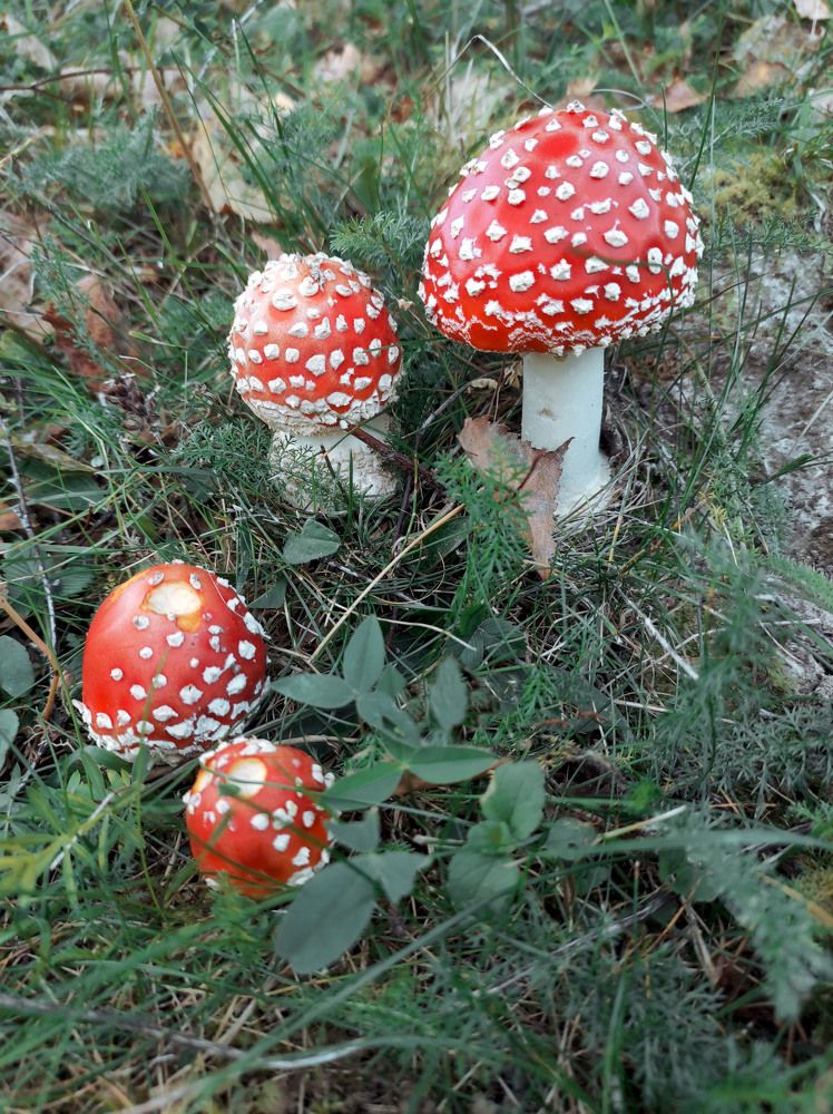 Photograph by Наталия Васильева