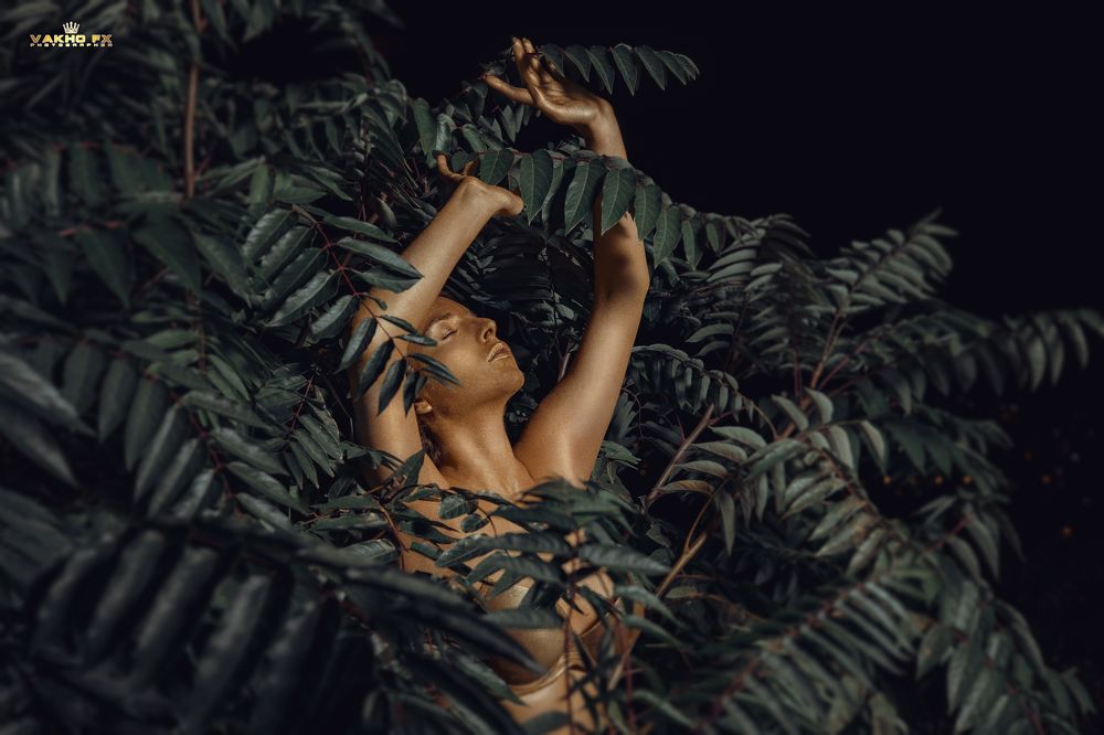 Photograph by vakhtang egiazarov