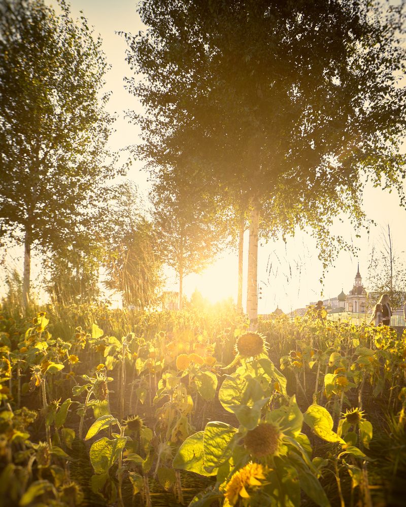 Photograph by Кирилл Лебедев