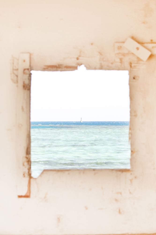 Фотография автора Алена