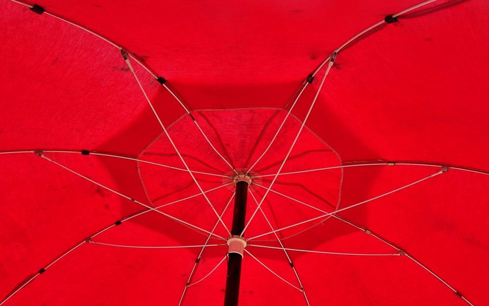 Фотография автора DENISE Monteiro de Lima Demange