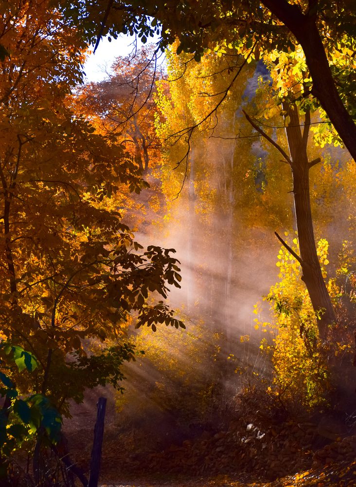 Photograph by Ehsan Fathi