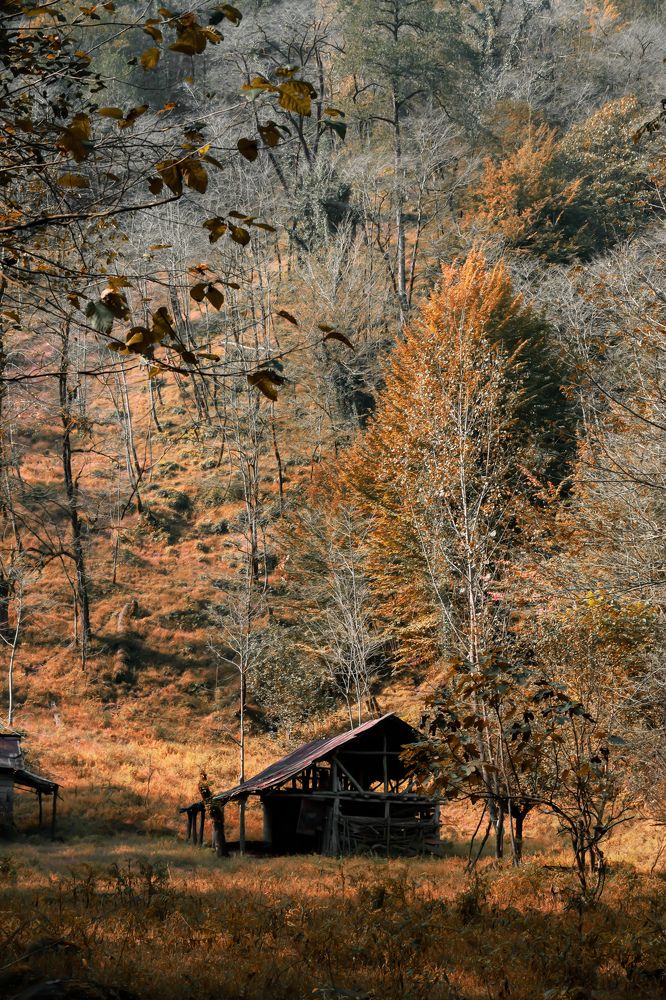 Photograph by Ehsan Fathi