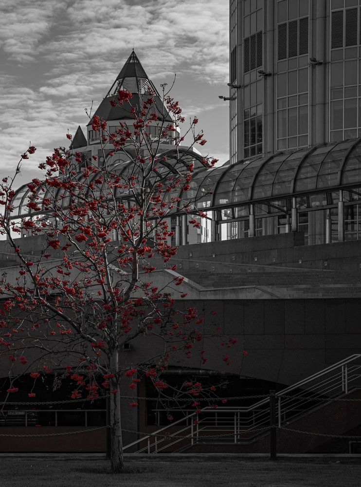 Photograph by Сергей Басов