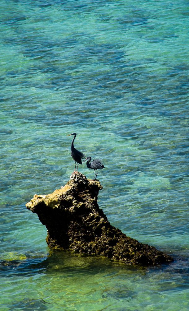 Photograph by Ehsan Fathi