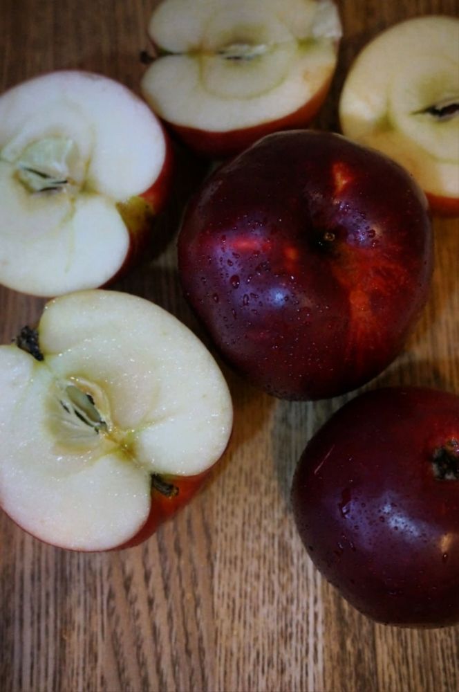 Фотография автора Татьяна Алексеева