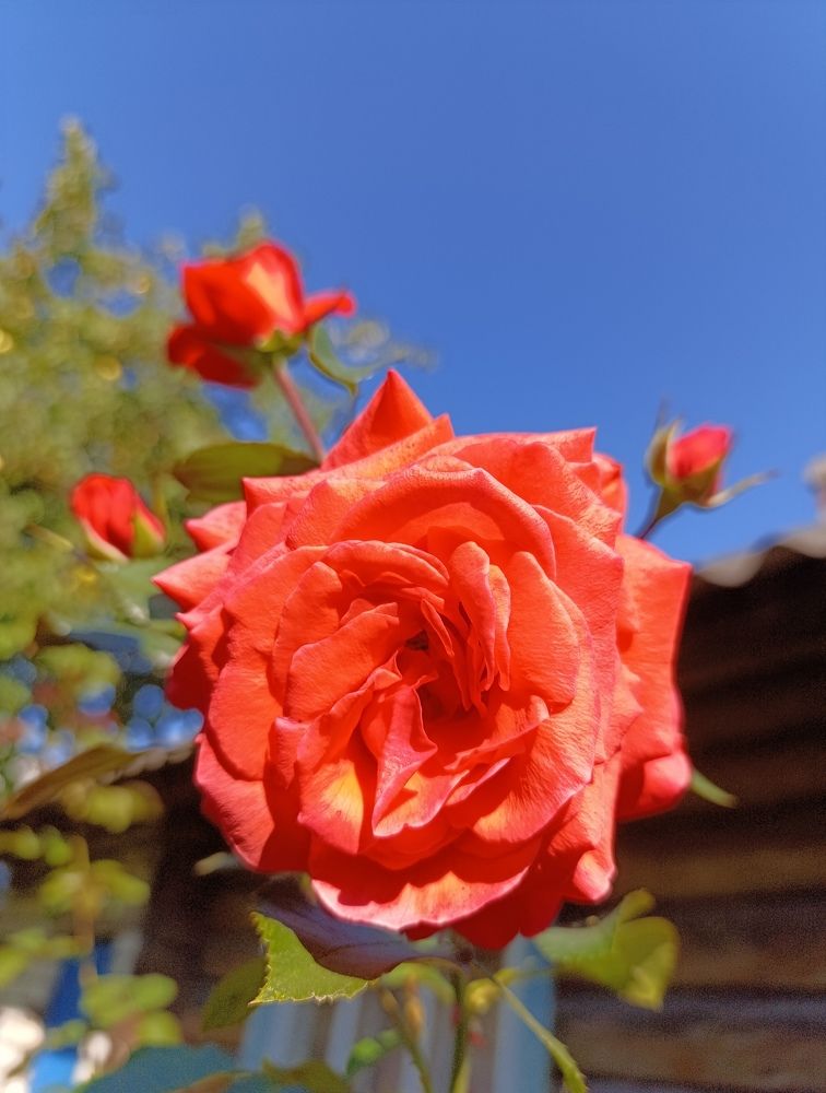 Photograph by Екатерина Супраненок