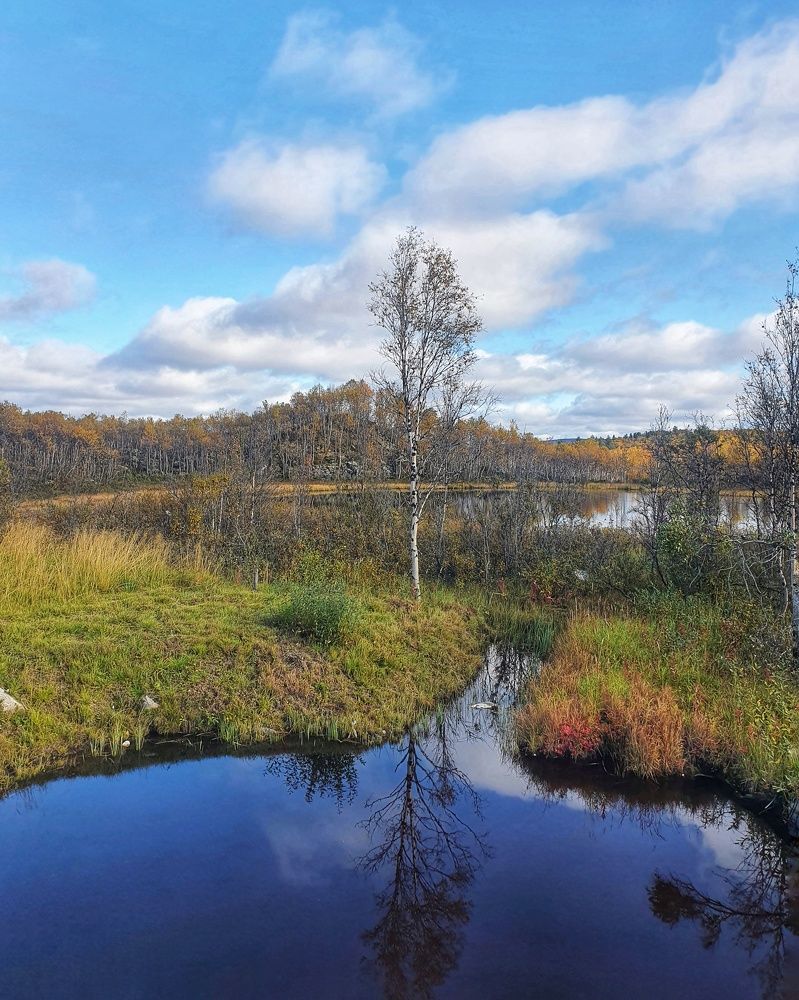 Photograph by Joanna Bell