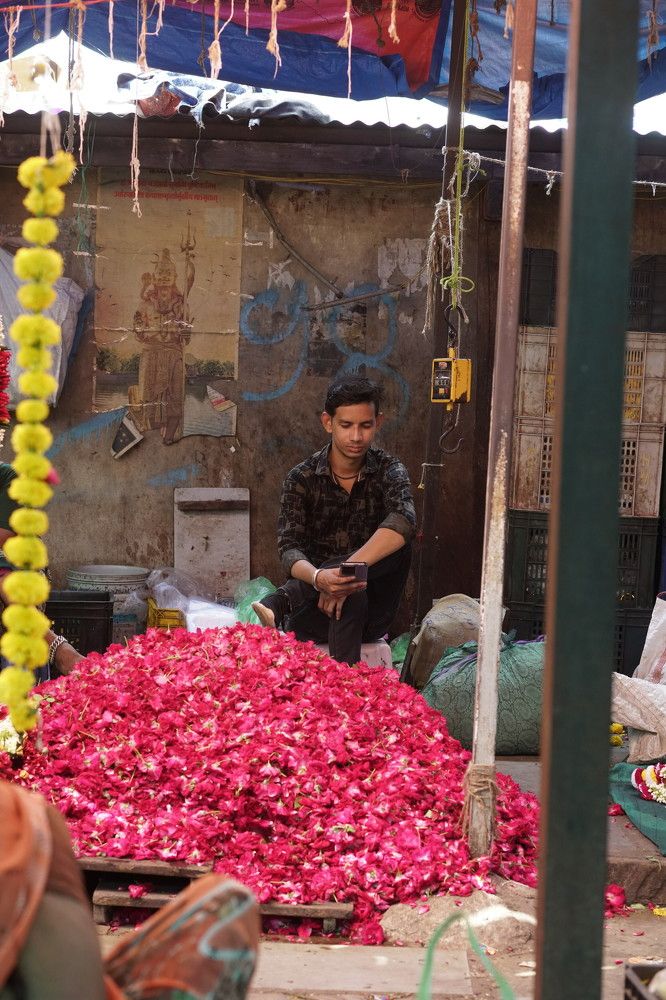 Photograph by Pihu chudasama