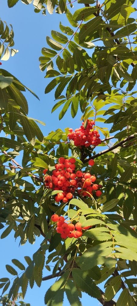 Photograph by Любовь Макарова