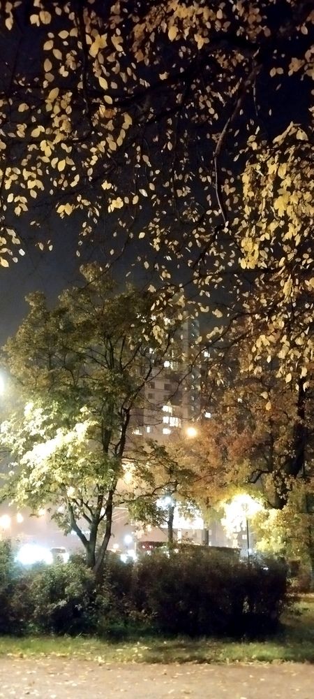 Photograph by Любовь Макарова