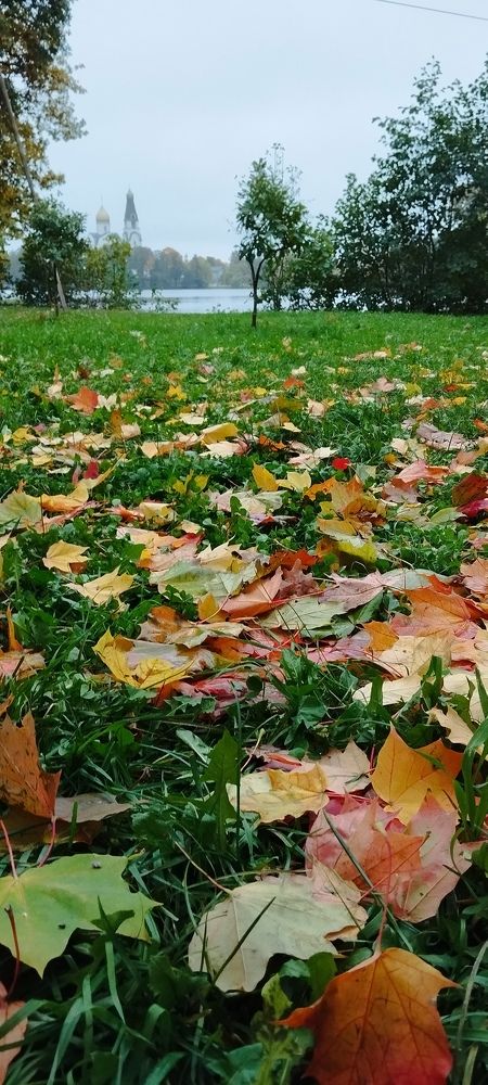 Photograph by Любовь Макарова