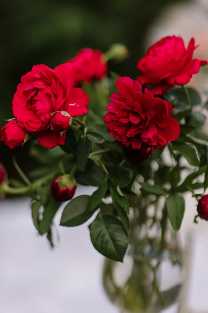 Photograph by Ольга Денисёнок