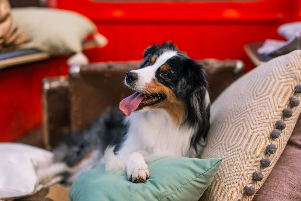 Photograph by Ольга