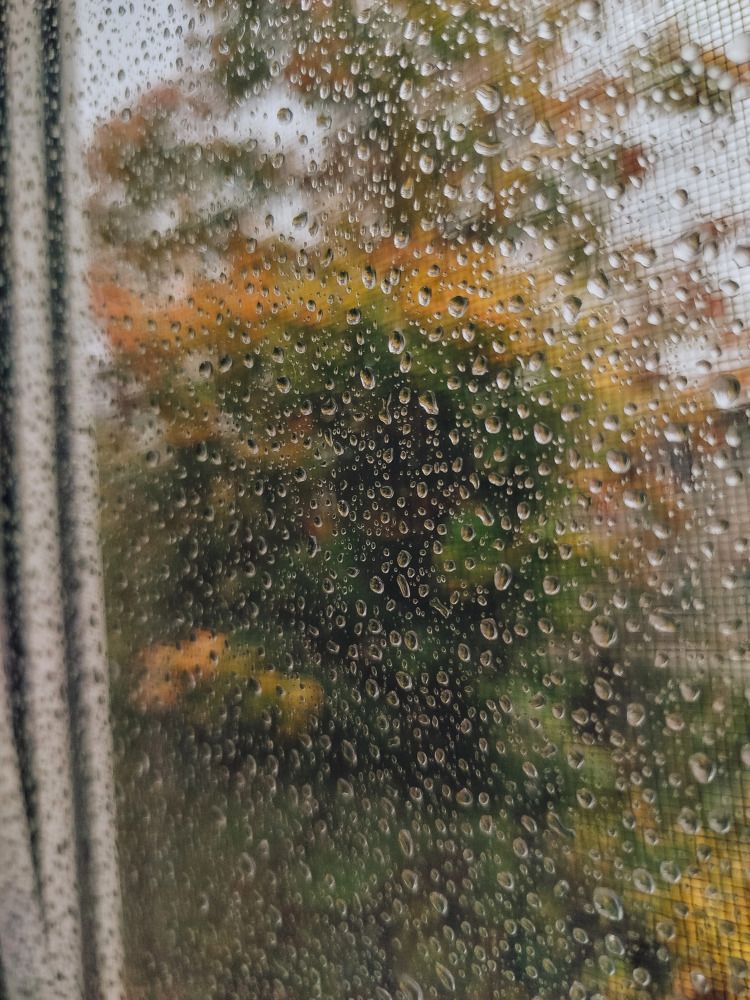 Photograph by Виктория Алексеева