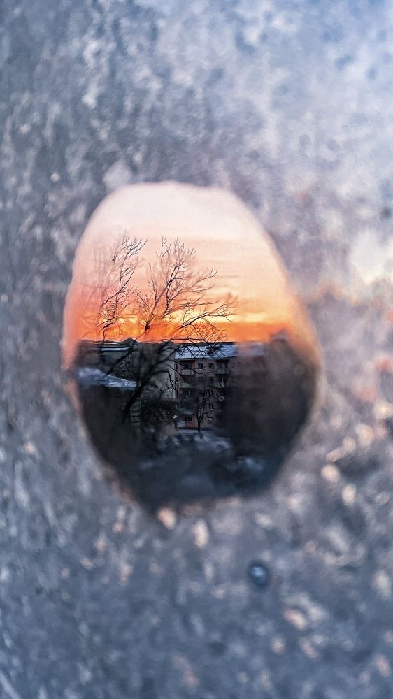 Фотография автора Ольга Каминская