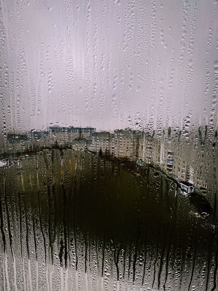 Фотография автора Ольга Каминская