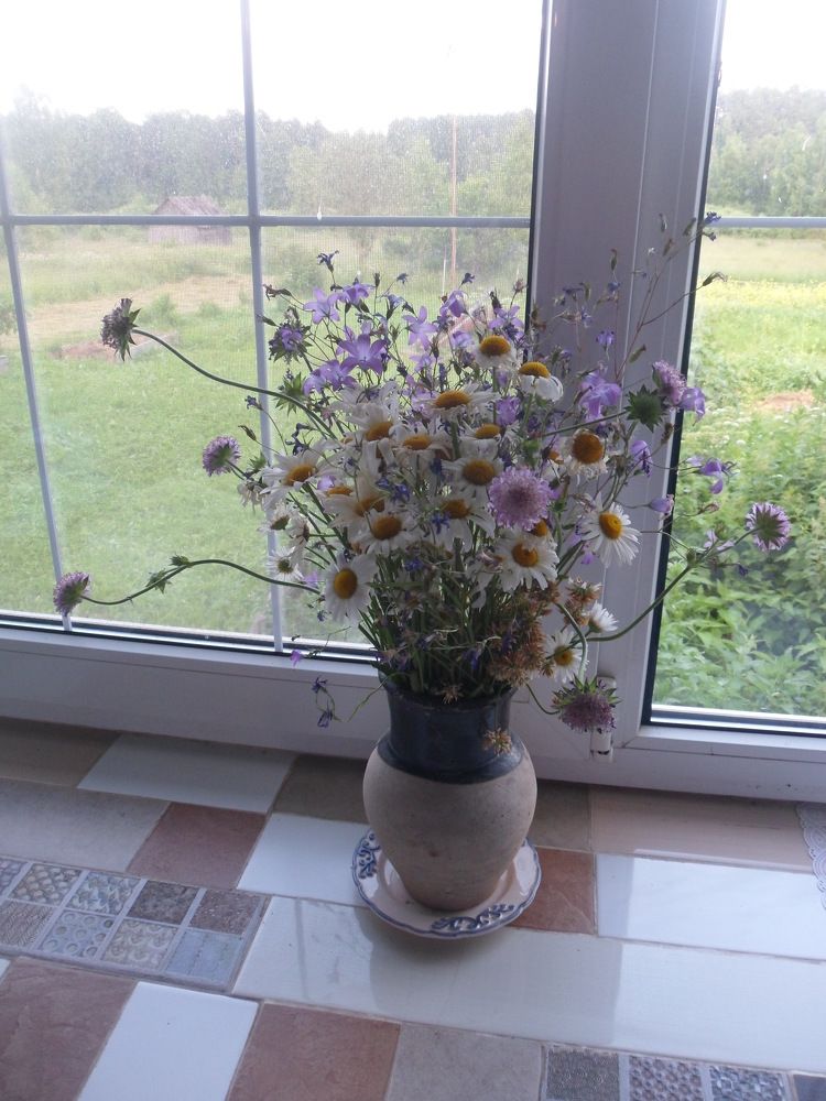 Photograph by Маша Худякова