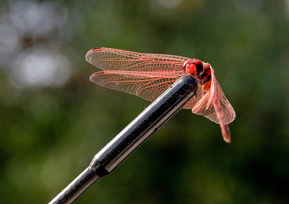 Photograph by Владислав Айзенберг