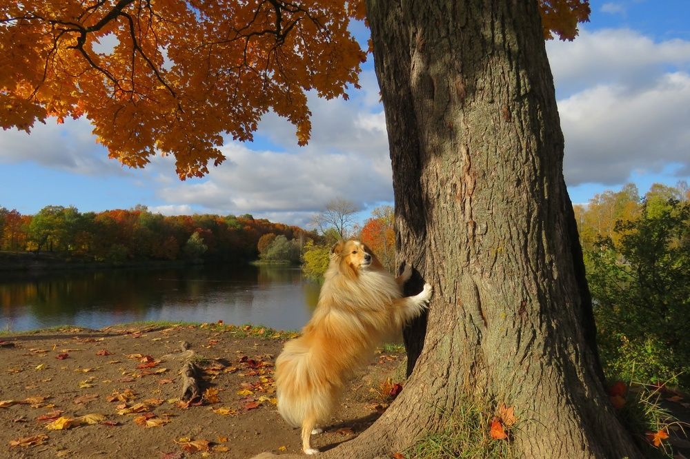 Photograph by Валерия Яскович