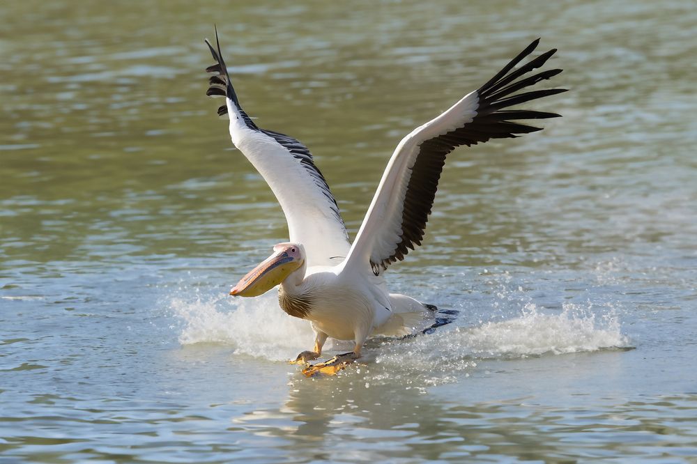 Photograph by Jacky Weckx