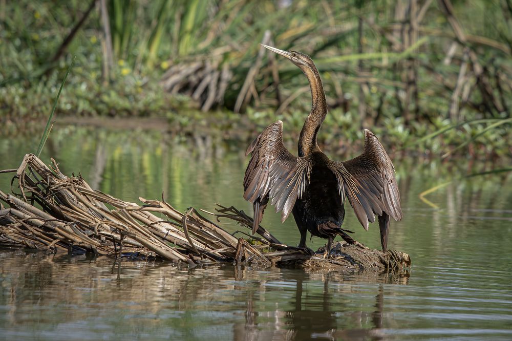 Photograph by Jacky Weckx