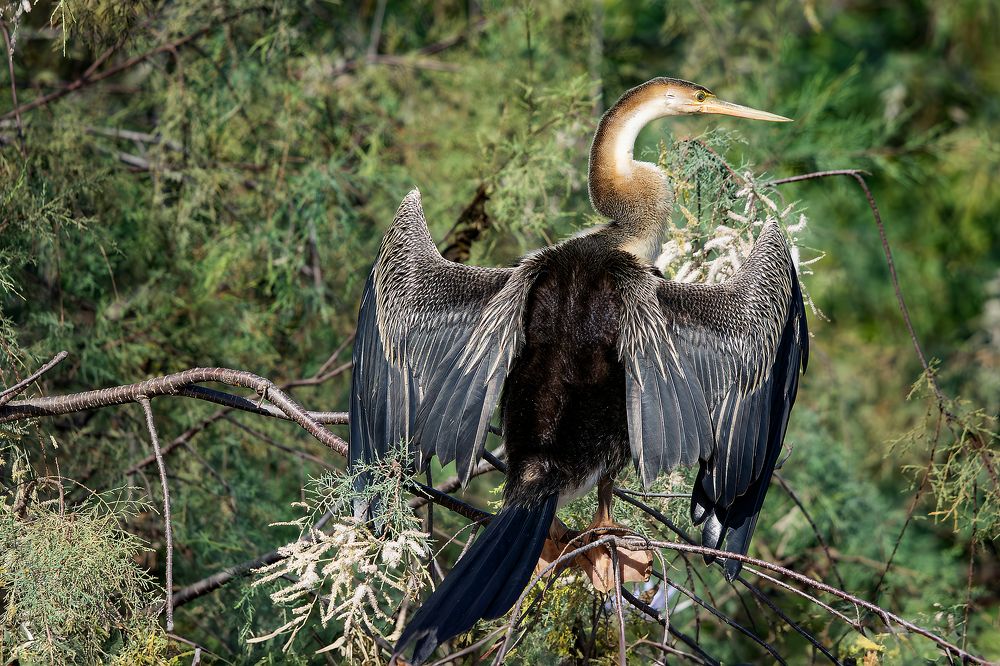 Photograph by Jacky Weckx