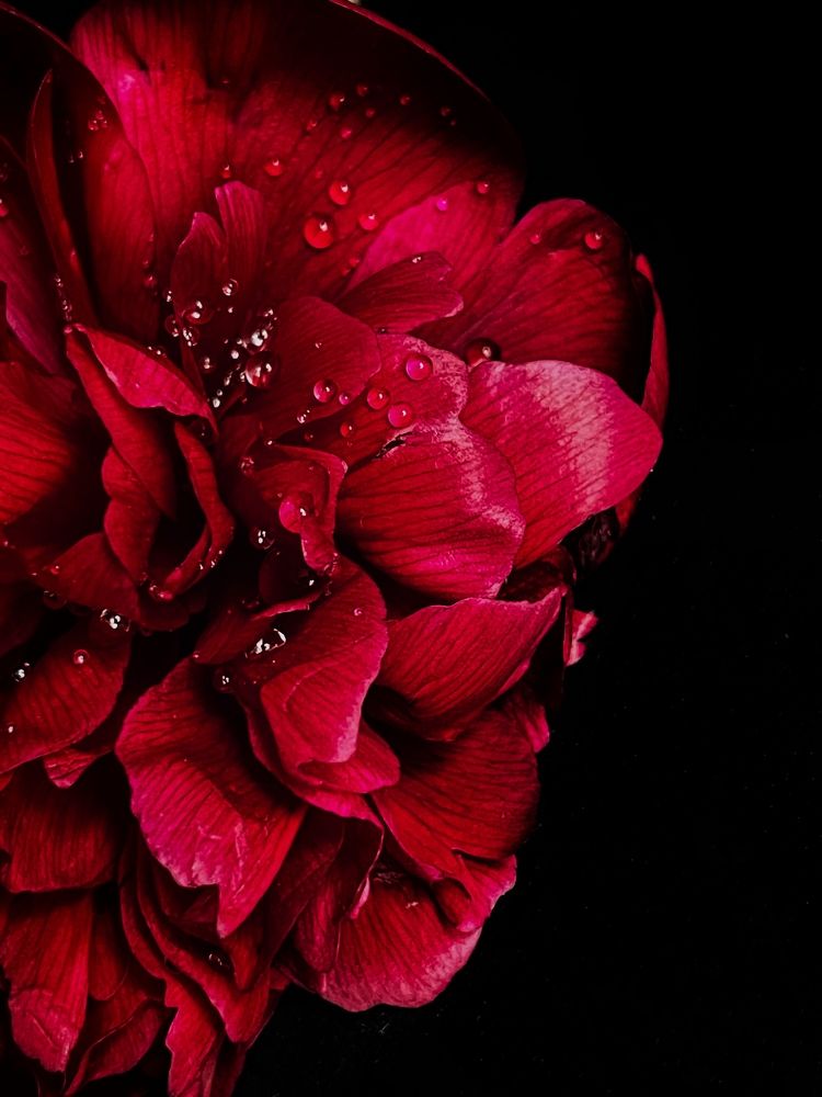 Photograph by Олена Уманцева