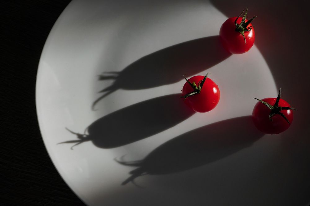 Photograph by Грибова Наталья