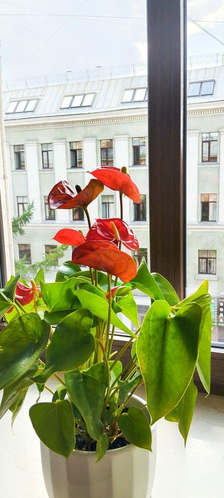 Photograph by Любовь Макарова