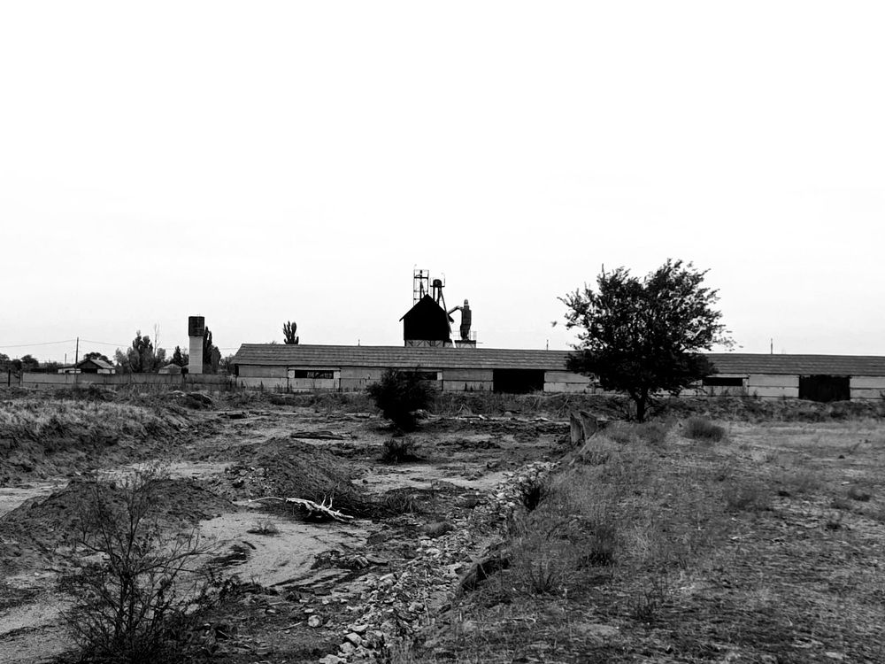 Photograph by Алина Лебедева