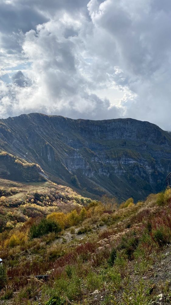 Photograph by Евгения Решетникова