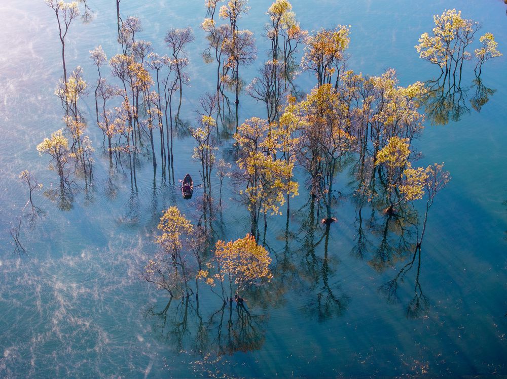 Photograph by Trần Anh