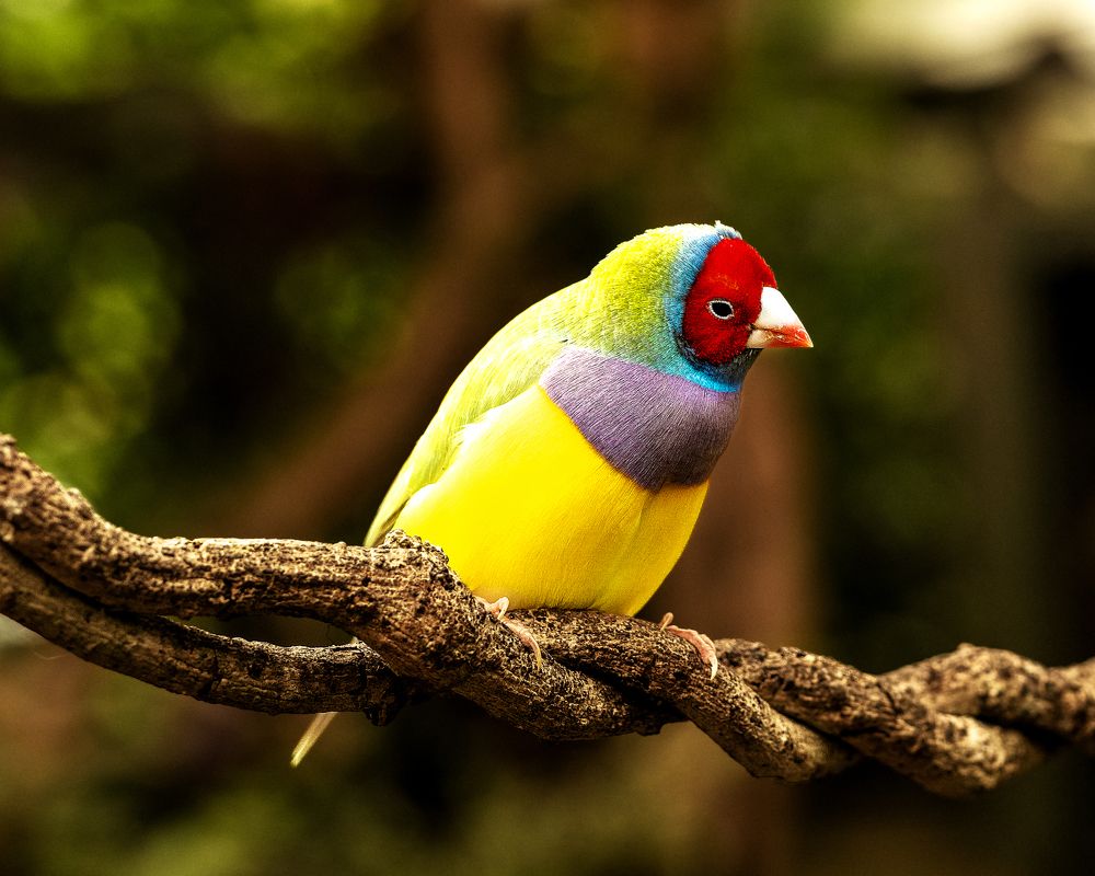 Фотография автора Straand2614