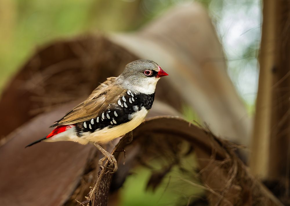 Фотография автора Straand2614