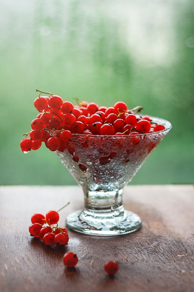 Фотография автора Наталья Ветошкина