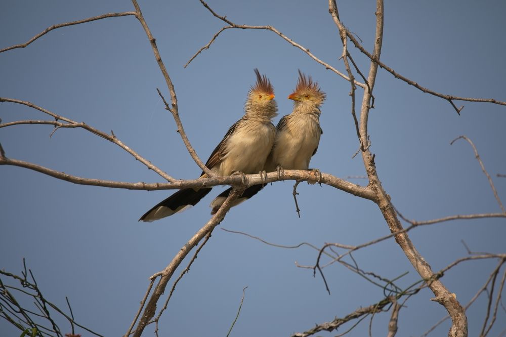 Photograph by Игорь Щербаков