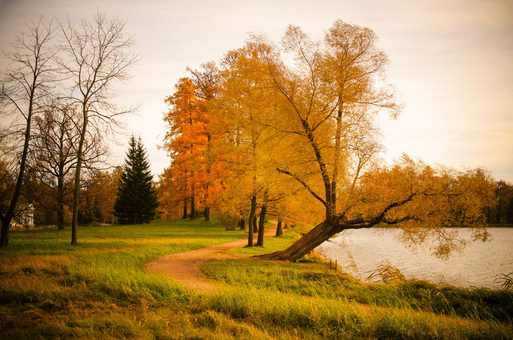 Фотография автора Ксения