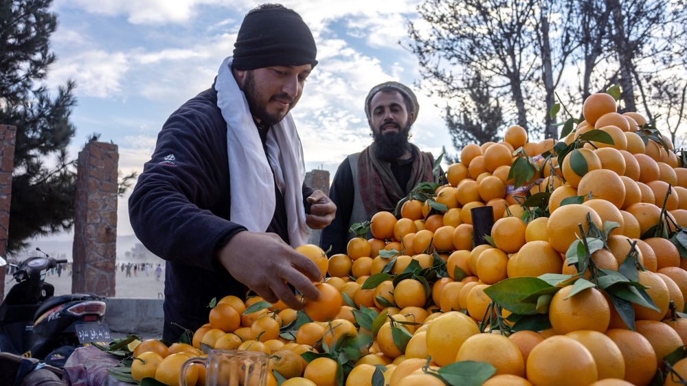 Oranges and the vendor