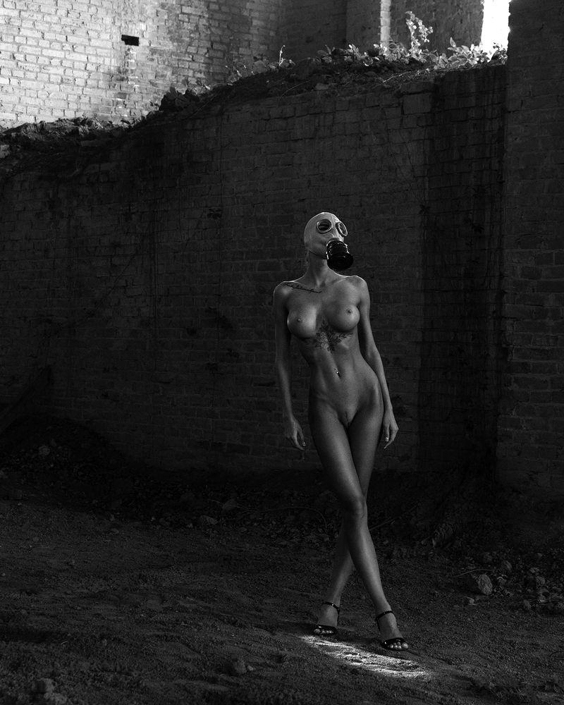 Фотография автора Дашин Станислав