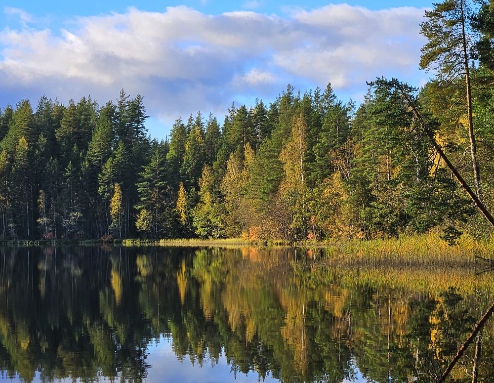 Photograph by Анастасия Алтабаева